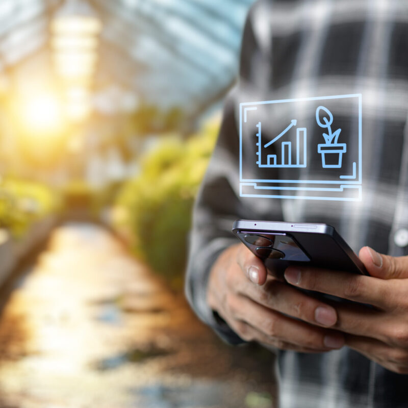 representing the quality check of data on the growth of vegetables and fruits on the farm, featuring a plant with a bar chart or line graph alongside a magnifying glass