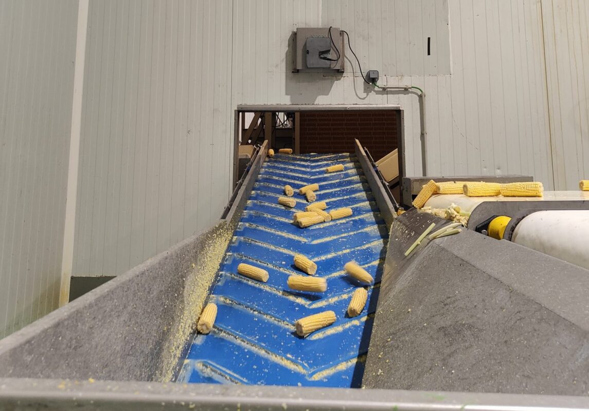 copia adaptadaWhatsApp Image 2025-07-17 at 15.42.07 (2)