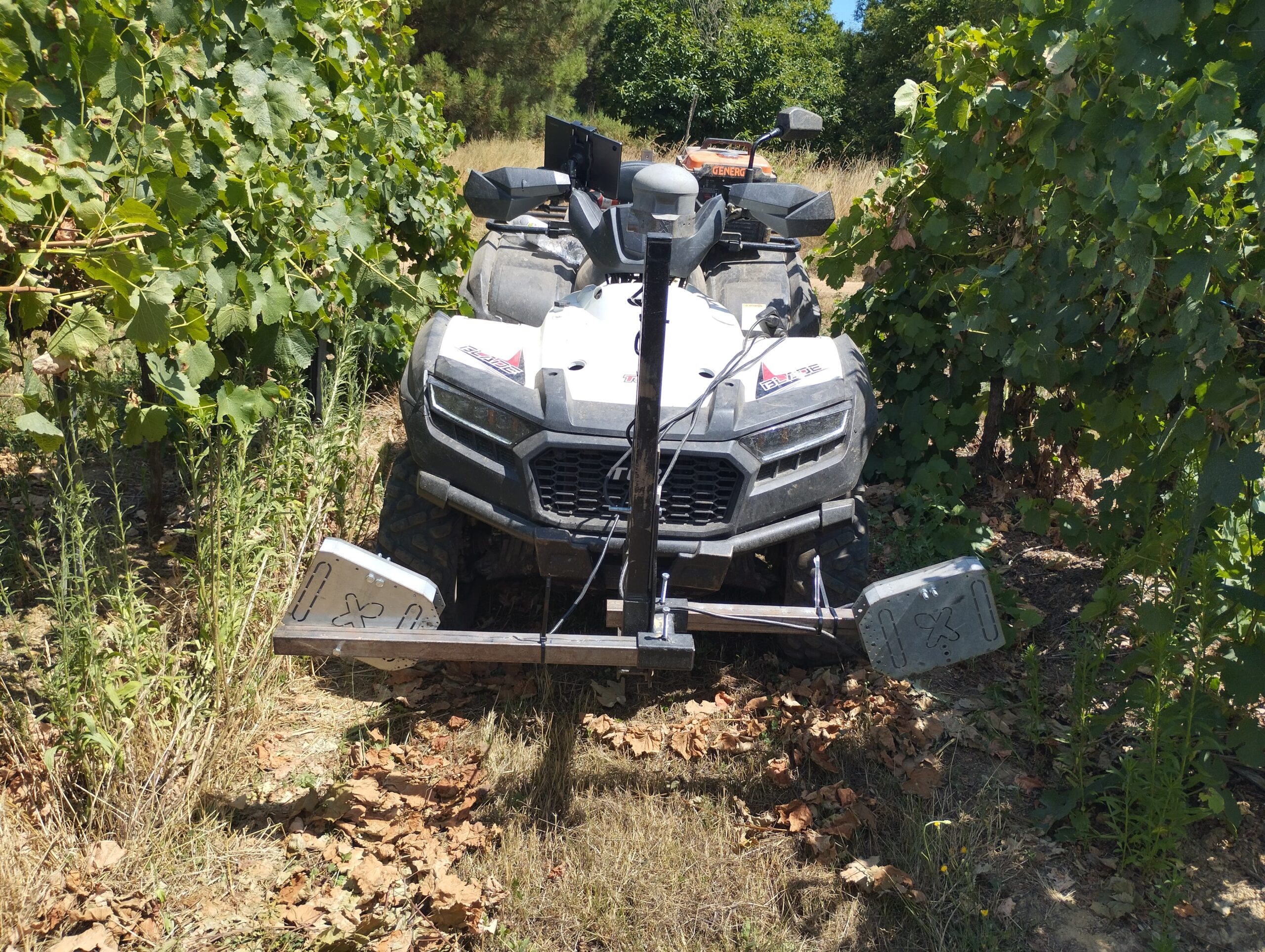 Vista móvil - Trabajo de campo