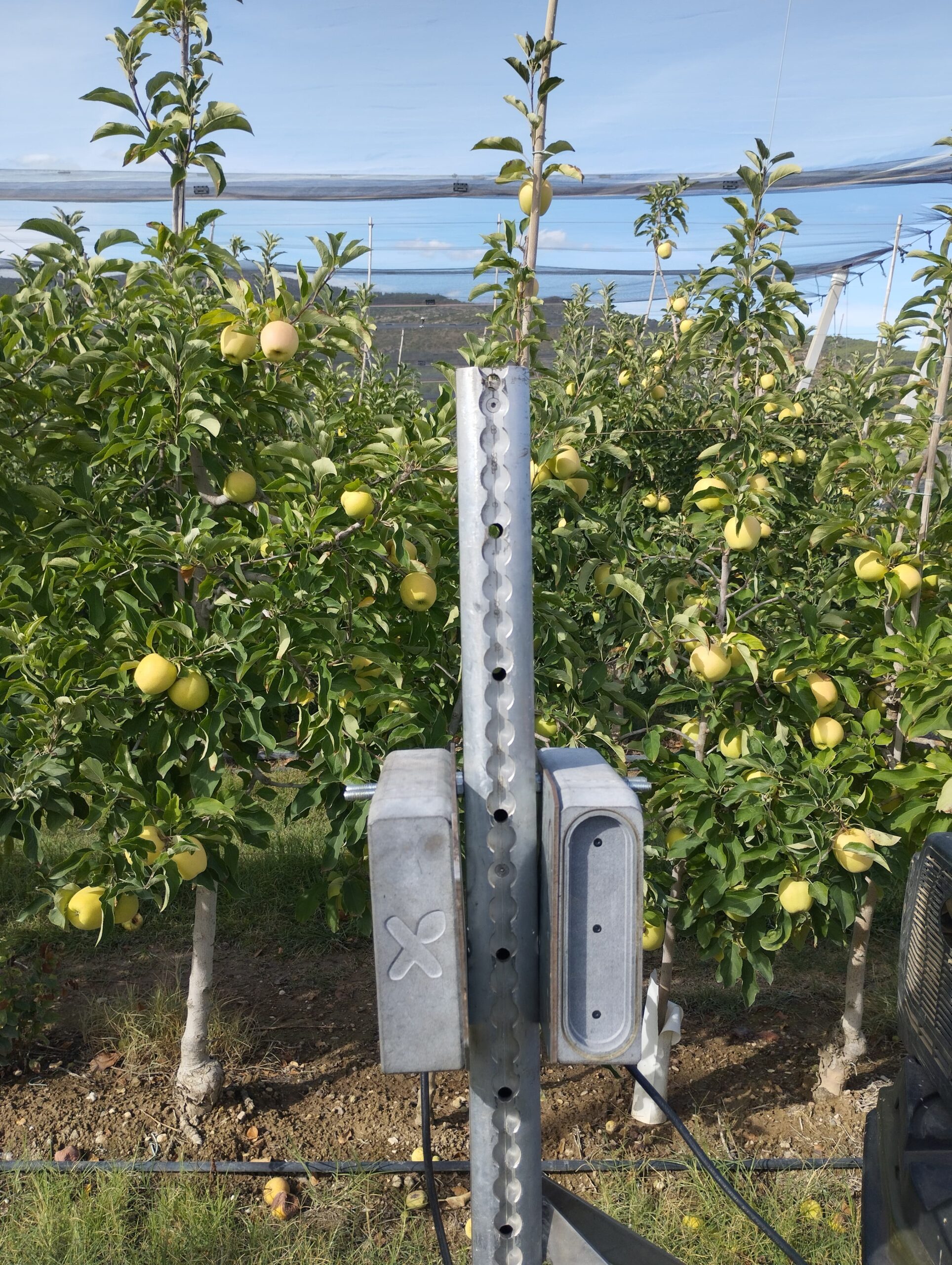 Sensores y cámaras en campo para obtener datos fiables