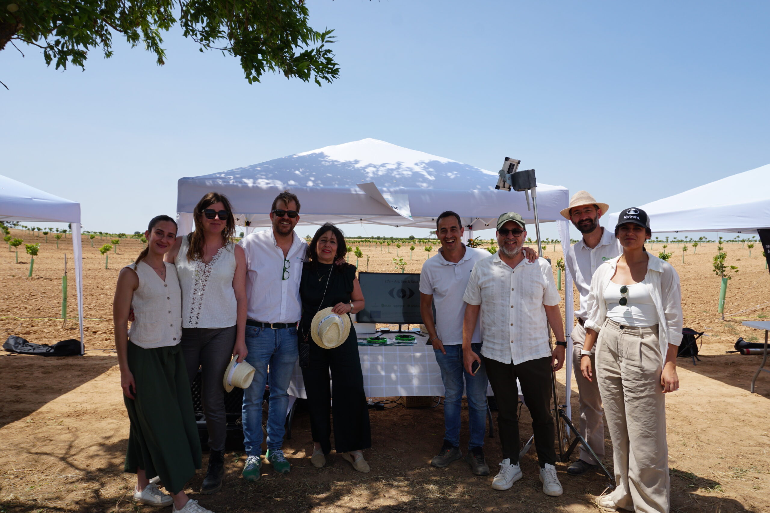 Viñedo Dominio Fournier
