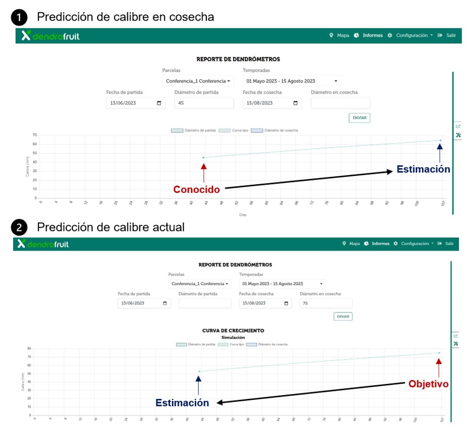 Curvas de calibre DendroFruit y OnFruit 360