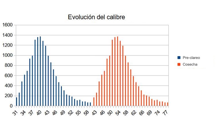Modelo predictivo de calibre DendroFruit