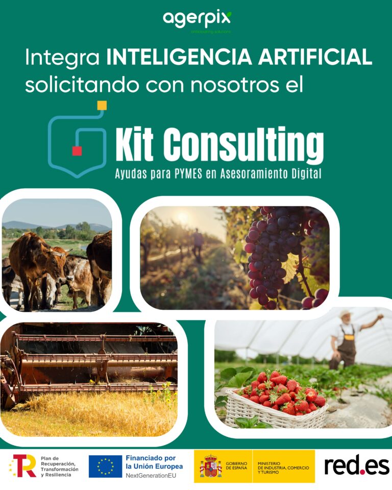 Kit Consulting ampliación de plazo