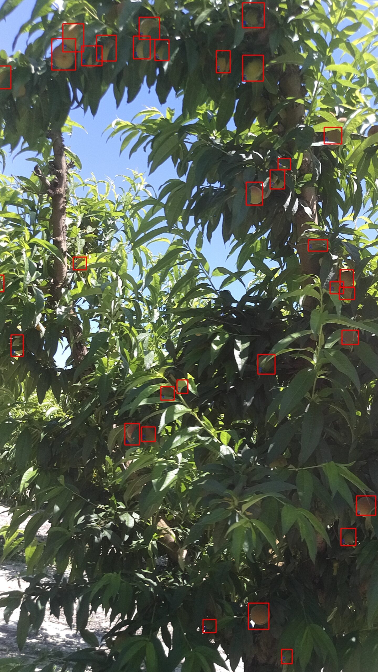 Vista móvil - Producción