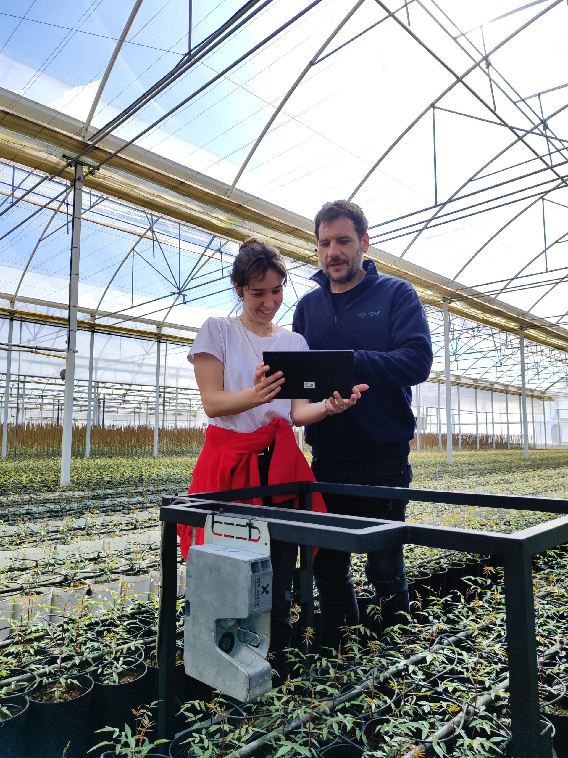 Agróptimum - Inteligencia artificial en pistacho