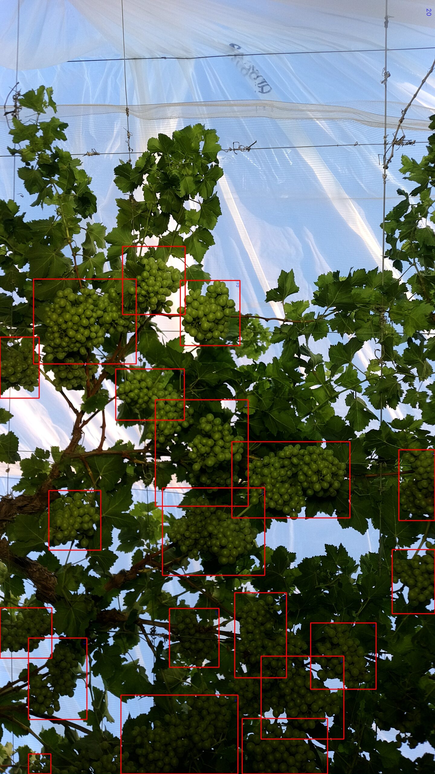 Vista web - Producción